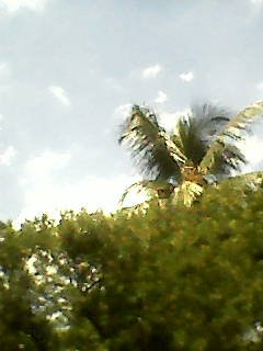 Banaras — Photo 27