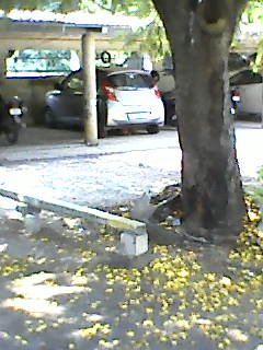 Banaras — Photo 38