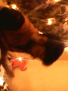 Banaras — Photo 95