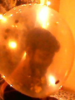 Banaras — Photo 100