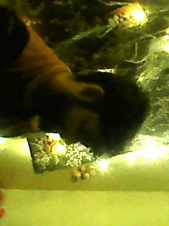 Banaras — Photo 105