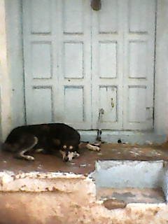 Chennai — Photo 19