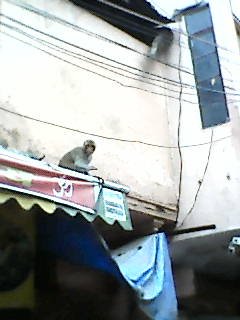 Chennai — Photo 21