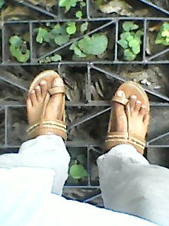 Chennai — Photo 32