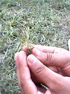 Chennai — Photo 33