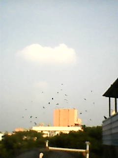 Nokia — Photo 1