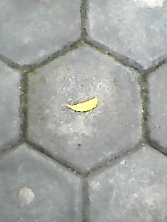 Nokia — Photo 4